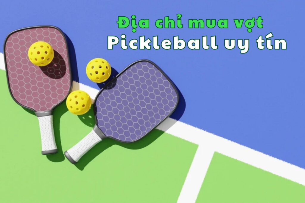 dia-chi-mua-vot-pickleball-negin-uy-tin-9